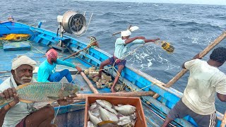 First Day Great Day  We Caught Lot of variety fishes in Deep Sea Fishing [upl. by Derron222]