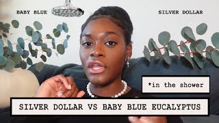 Eucalyptus Shower Upgrade Comparing Baby Blue vs Silver Dollar Varieties [upl. by Honor]