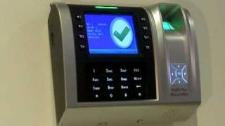 Fingerprint Time Clock  Fingertec TA200 [upl. by Anitteb]