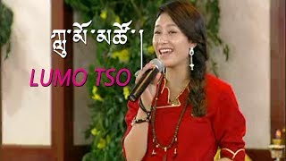 TIBETAN SONG 2014 BY LUMO TSO [upl. by Husha346]