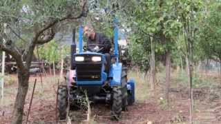 trattore usato Iseki tx1500 prova con fresa iseki CavallieCavalli macchine agricole Sardegna [upl. by Nere]