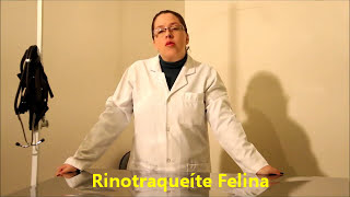 RINOTRAQUEÍTE FELINA  Doença do Trato Respiratório  CUIDADO [upl. by Eilloh]