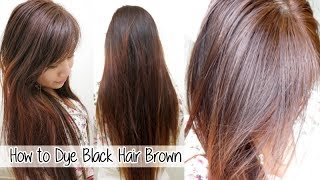 How to Dye Hair from Black to Brown Without Bleach l Loreal HiColor Vanilla Champagne [upl. by Ytitsahc]