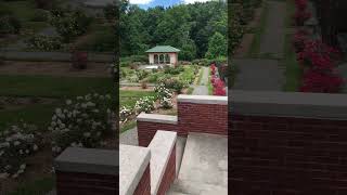 The VANDERBILT Mansion Flower Garden shorts youtubeshort [upl. by Aizan770]