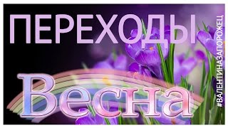 Переходы Весна Transitions Spring Proshow Producer [upl. by Ettezus]