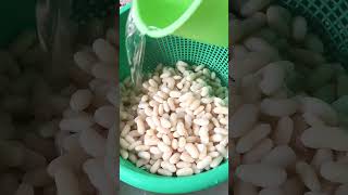 Minatamis na Beans recipe  dessert pinoy fyp beans food shorts [upl. by Lusa491]