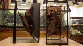 DIY Naturalistic Expanding Foam Vivarium Background Aquarium to Viv Conversion pt2A [upl. by Binette]