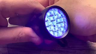 Vansky UV Flashlight Black Light 51 LED Blacklight Pet Urine Detector Review [upl. by Rezeile1]