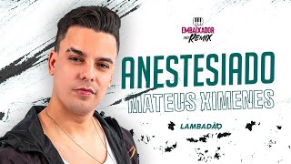 ANESTESIADO  MATEUS XIMENES  LAMBADÃO 💃🏻 🕺🏻 🪩  LANÇAMENTO [upl. by Malsi31]