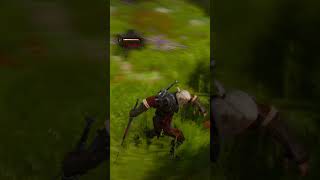 The Witcher 3 Wild Huntt subscribe for more video thank you thewitcher3 [upl. by Edasalof]