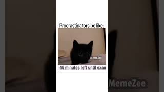 procrastinators be like [upl. by Seys]