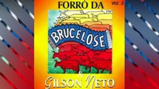 BRUCELOSE  Sede de te Amar com letra [upl. by Gnut]