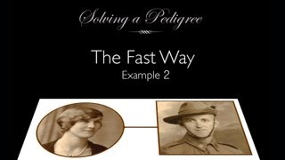 Solving a Pedigree  the Fast Way example 2 [upl. by Sou]