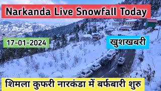 Narkanda snowfall today 17012024 Narkanda snowfall update Shimla Narkanda live snowfall 2024 [upl. by Ayt]