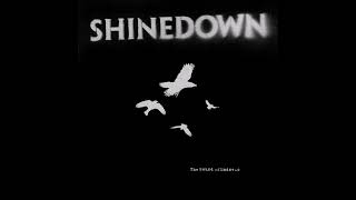 SHINEDOWN Breaking Inside [upl. by Rovaert]