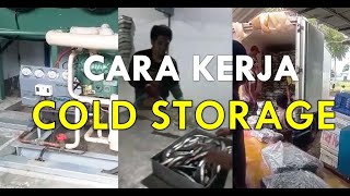 CARA KERJA COLD STORAGE HASIL LAUT [upl. by Sucramal995]