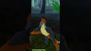 Feather Family Mini Facts 1  The Hoatzin featherfamily roblox [upl. by Edobalo]