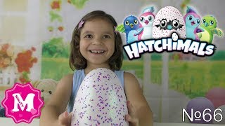 MY HATCHIMALS  Хетчималс Интерактивная игрушка Дракоша в яйце вылупляющийся от Mika Miracle [upl. by Trik]