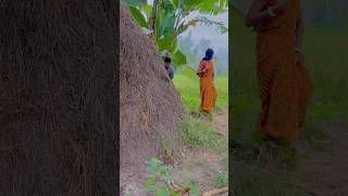 music song bollywood pushpa newsong youtubeshorts funny comedyvideos [upl. by Oakman]