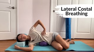 Diaphragmatic breathing [upl. by Airan632]