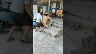 Craft That Use Paulownia Tree Wood To Make A Barrel For Keeping Bees [upl. by Welford]