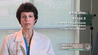 Uterine Cancer Staging 3 [upl. by Acherman812]