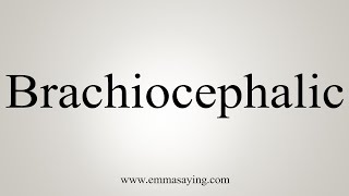 How To Say Brachiocephalic [upl. by Drugi]