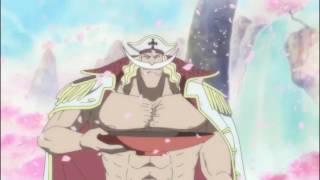 Whitebeard amp Gol D Roger Last Meeting English Dubbed [upl. by Daahsar744]