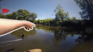 PÊCHE du BROCHET en rivière CE SPOT EST PARFAIT [upl. by Ynagoham]