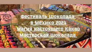 Фестиваль Шоколада в Мехико 2024 Магия настоящего Какао И Изготовления Шоколада своими руками [upl. by Burchett]