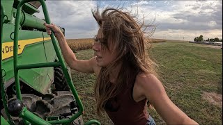 Starting Tillage In The Middle Of Harvest [upl. by Aicertap]