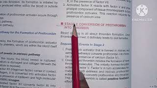 Coagulation of blood  Chapter 18 Stages of blood clotting  Enzyme cascade theory physiology [upl. by Ynamad]