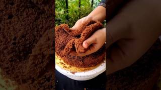 যে কারণে আমার কেক এত বেশি সফট হয়  Chocolate Sponge Cake Recipe cakerecipe cakeshorts spongecake [upl. by Aihsema]