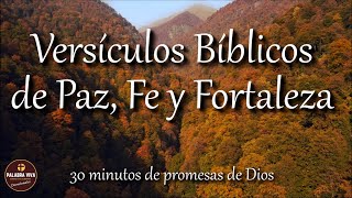 Versículos Bíblicos que te llenarán de Paz Fe y Fortaleza  Biblia hablada  Bible audio [upl. by Ailey]