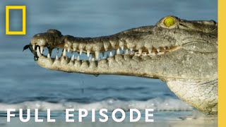 Oceans Full Episode  Hostile Planet [upl. by Schwerin]