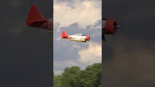 Giant Scale RC AT6 Texan’s MindBlowing Radial Engine Sound [upl. by Ffej793]