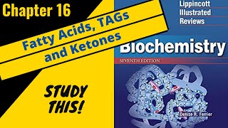 Lippincotts Biochemistry Review Chapter 16 Fatty Acids TAG and Ketones  Study This [upl. by Naliorf484]