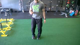 Valslide Lateral Lunge [upl. by Now]