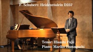 シューベルト：野ばら F Schubert Heidenröslein Ｄ257 [upl. by Mchenry]