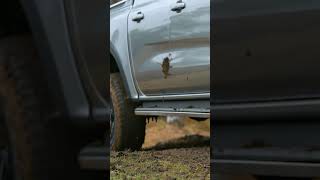 Pirelli Scorpion AT Overview TEASER tyrereview tyres offroading 4x4 pirelli [upl. by Clein445]