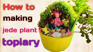 How to making Jede plant ☘️ topiary  Jede plant  Lucky plant  Garden tips [upl. by Cinda]