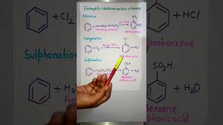 Nitration halogenation and sulphonation of benzene chemistry shorts organicchemistry [upl. by Palmore576]