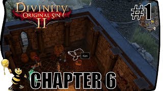 DIVINITY ORIGINAL SIN 2 Gameplay Walkthrough  CHAPTER 6 THE HUNT FOR DALLIES Part 1 Arx 17 [upl. by Lorola]