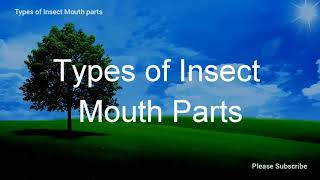 General knowledge in Agriculture  Types of insect mouth parts  ICAR [upl. by Idnim984]