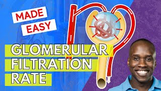 Glomerular Filtration Rate  But Easier to Understand [upl. by Harmon]