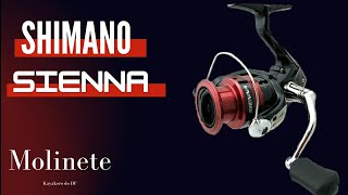 Review  Molinete Shimano  Sienna 1000 [upl. by Hayimas]