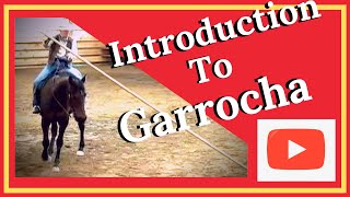 Garrocha Pole Skills For You and Your HorseHave Fun Build ConfidenceArt of The Horseman [upl. by Noletta]