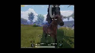 HORSE REACTION😂😂 pubg pubgmobile shorts funny [upl. by Neill]