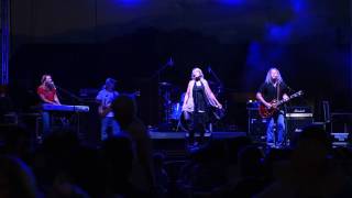 White winged Dove  Tusk Fleetwood Mac Tribute band Plays Kennesaw GA [upl. by Renruojos302]