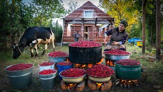 Preserving Flavor Making Delicious Dogwood Paste [upl. by Ailisec23]